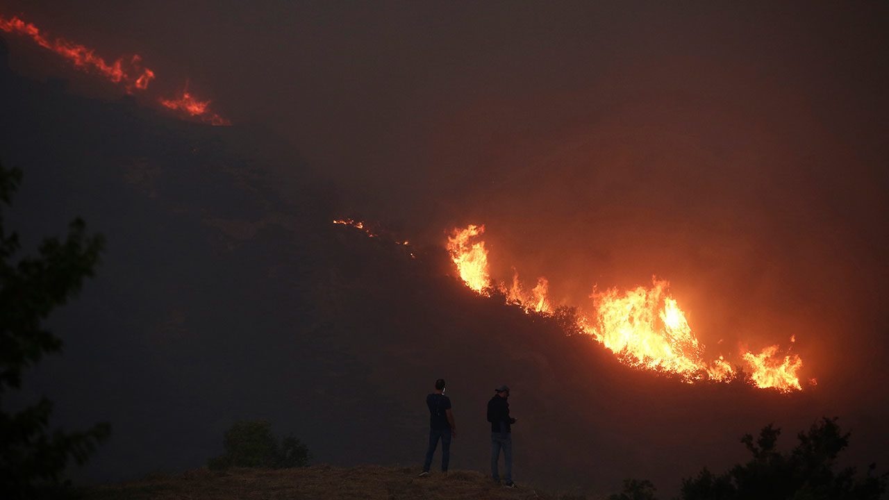 Fotogalería: Incendios, expresión de la crisis climática global