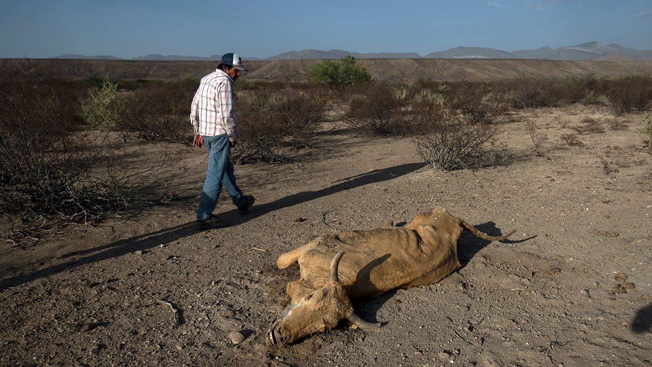 Expertos advierten que sequía en México se acentuará más con el fenómeno de La Niña