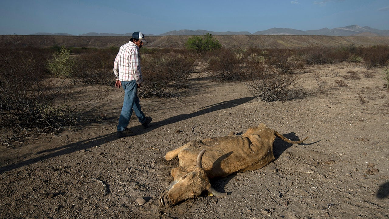 Sequía alarma al norte de México