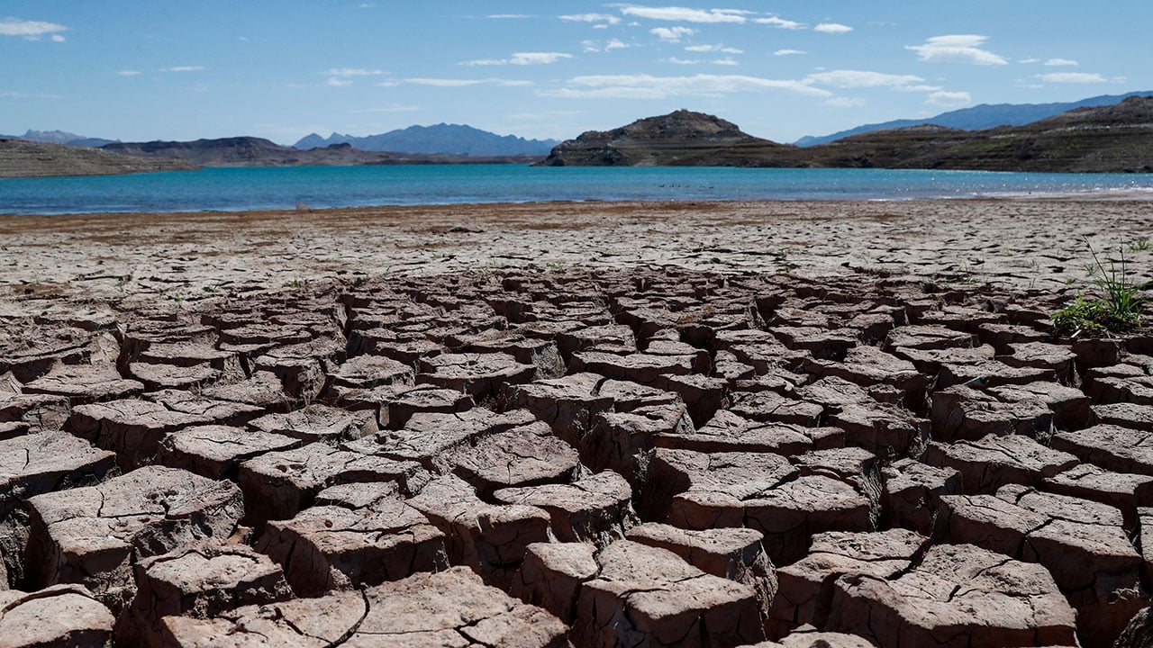 Fotogalería: Sequías ponen en alerta al mundo