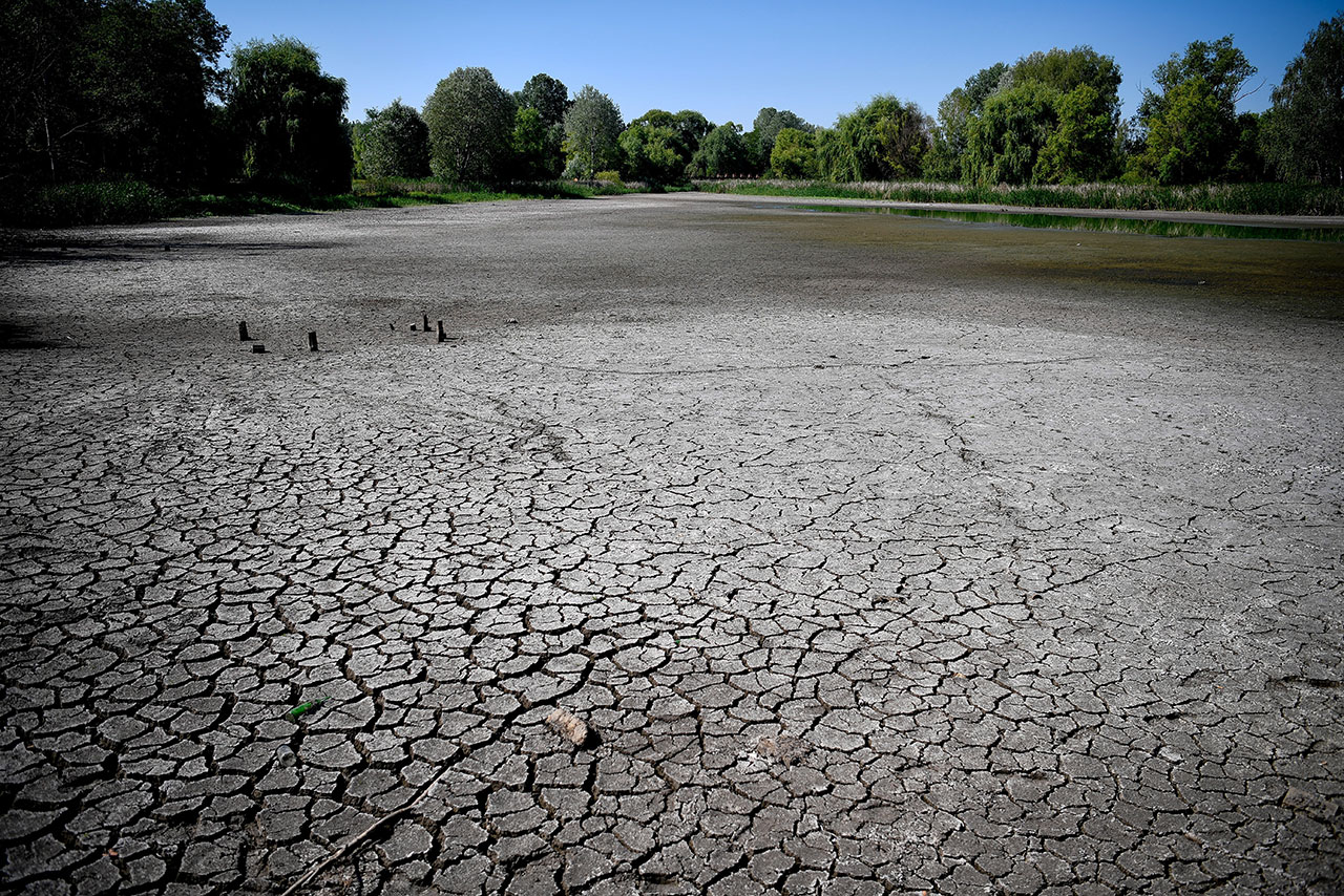 Europa sufre peor sequía en 500 años