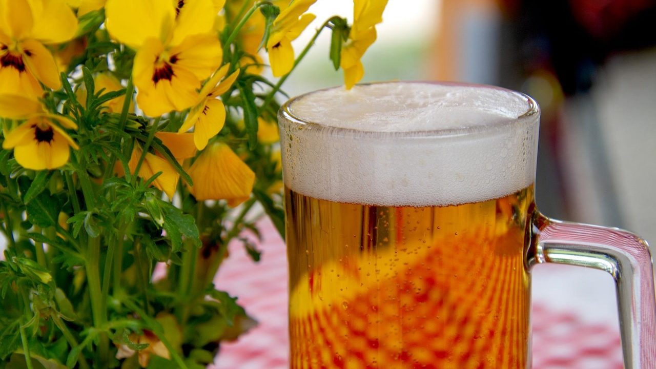 La agroindustria cervecera, un paso adelante hacia un futuro sustentable