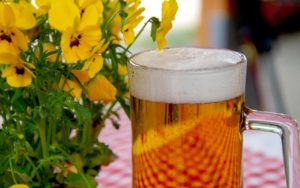 Cerveza