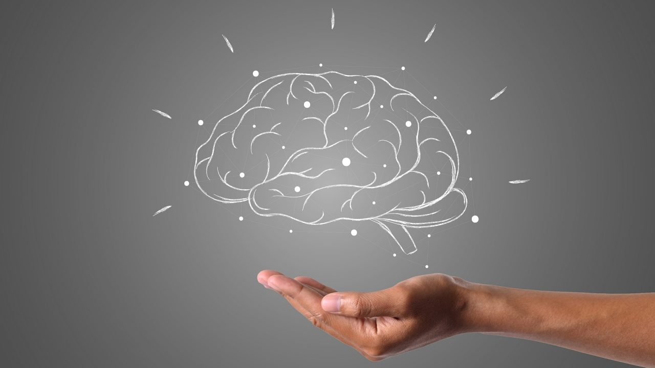 Estudio explica por qué el cerebro reconoce imágenes, incluso sin color