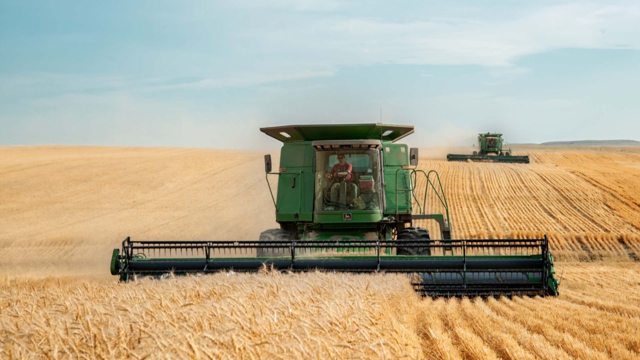 Estudio analiza el impacto de guerra de Ucrania en el suministro global de alimentos