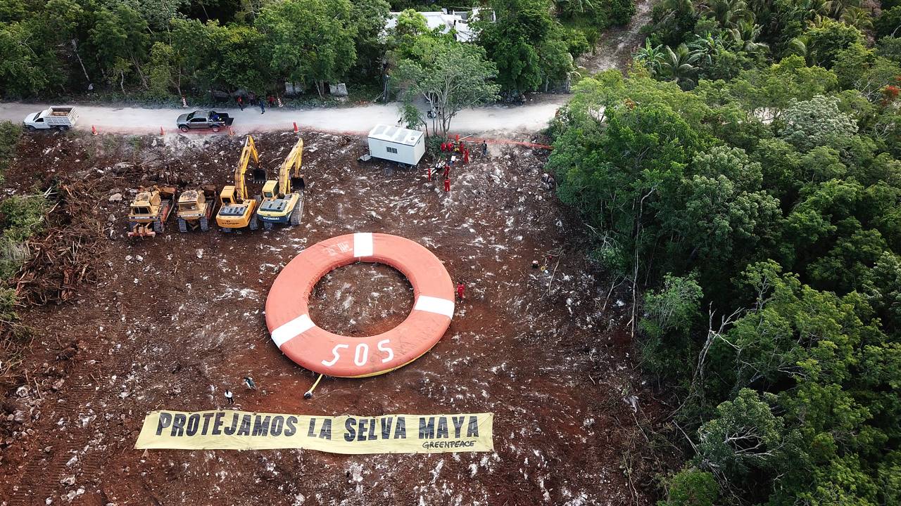 Greenpeace protesta contra reinicio de obras del Tren Maya