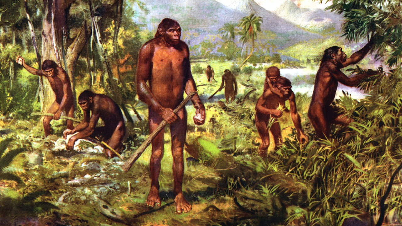 Antigua mandíbula hallada en España da idea de los primeros humanos en Europa