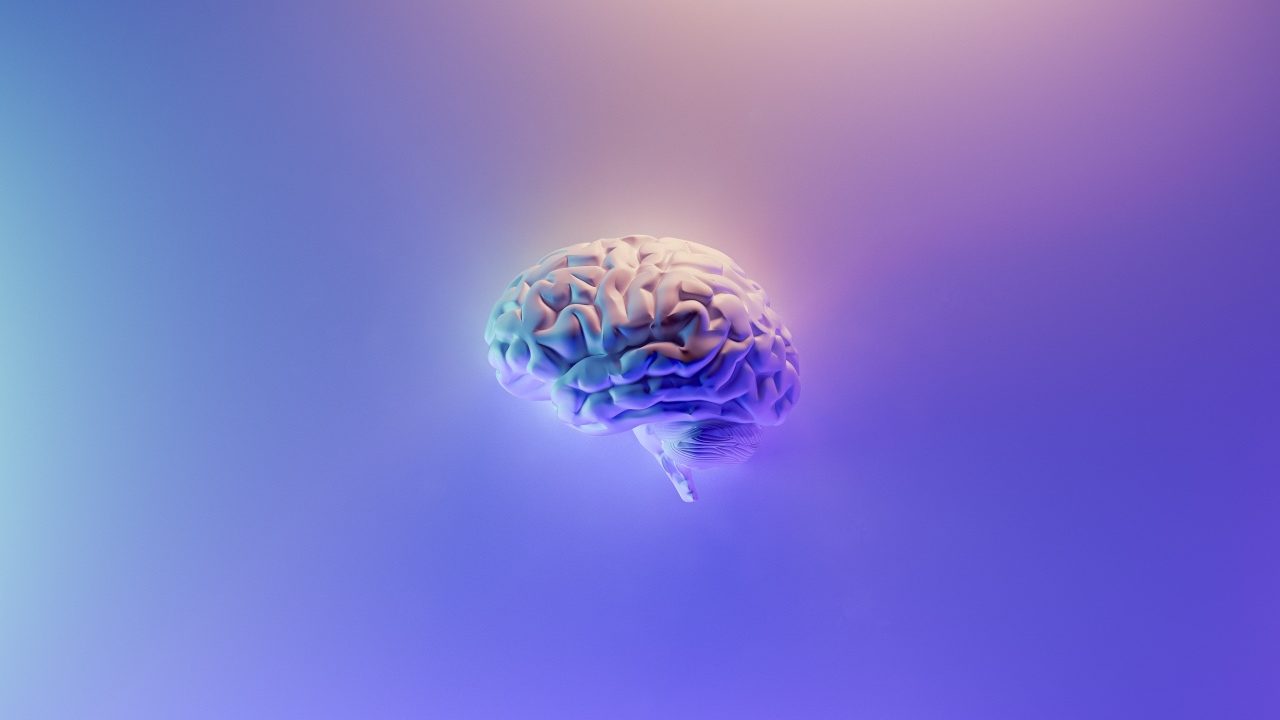 Científicos chinos resucitan tejido cerebral humano congelado por 18 meses