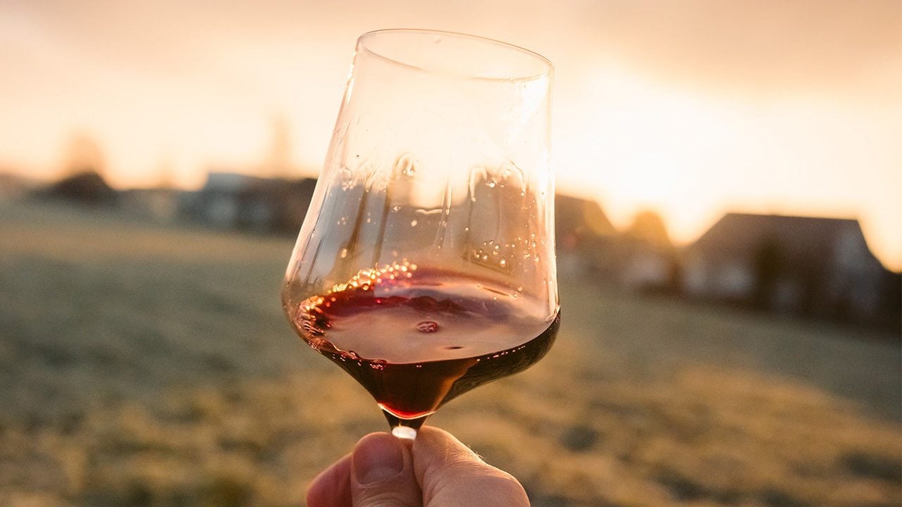 Cambio climático y guerra de Rusia pegan a industria mundial del vino