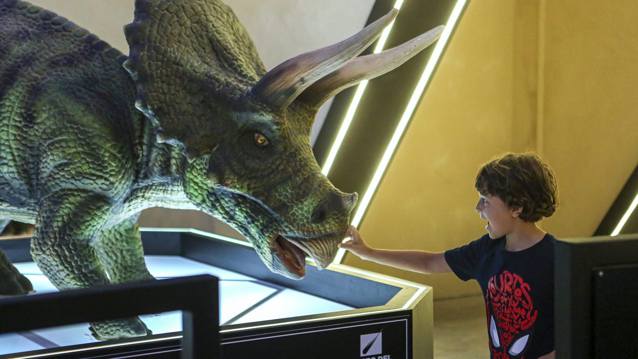 Museo del Meteorito, una mirada al rol del sur de México en la prehistoria