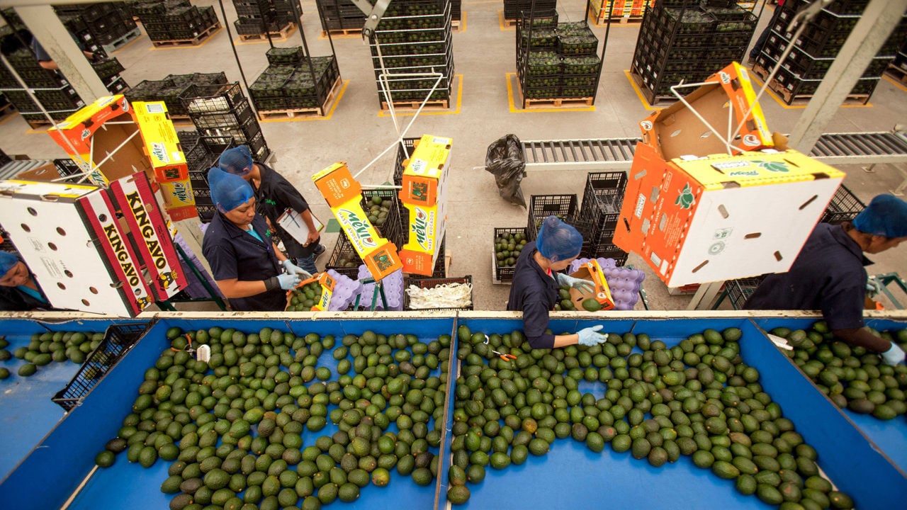 México alcanza los 51,874 millones de dólares en exportaciones agroalimentarias en 2023