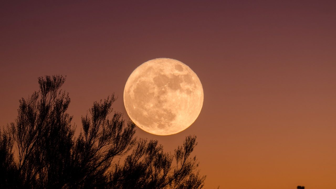 Luna de Cosecha, te decimos dónde y cuándo verla