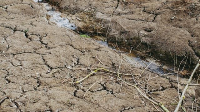 Sequía está afectando la producción de electricidad en México: Martín Esparza