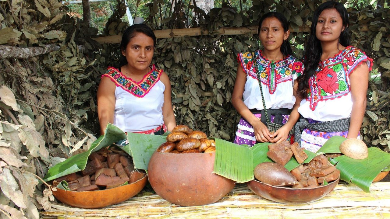 Los pueblos indígenas poseen el 11% de la superficie mundial: informe