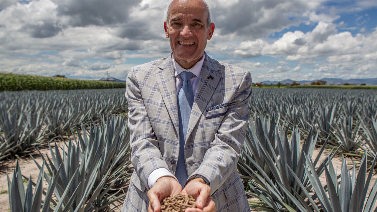 Selección 2022 | La ‘basura’ sí es negocio: así revalorizan el agave que la industria tequilera desecha