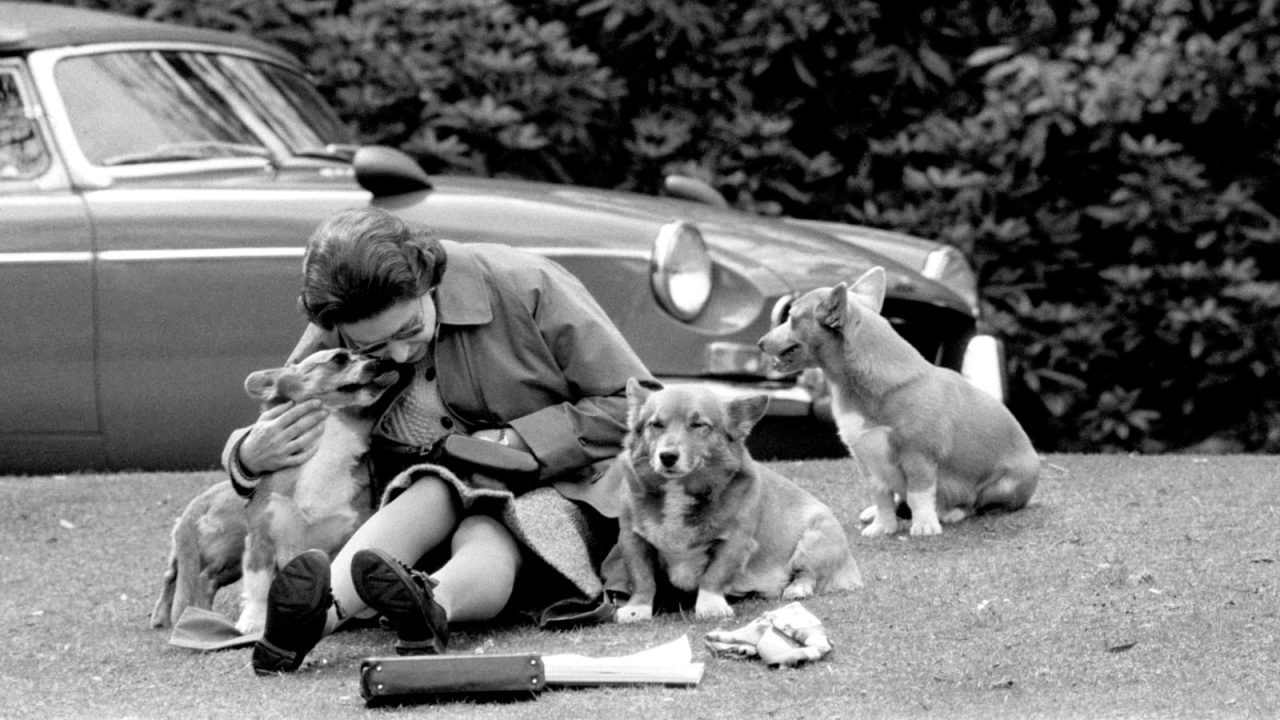 El príncipe Andrés y Sarah Ferguson se quedarán con los corgis de Isabel II