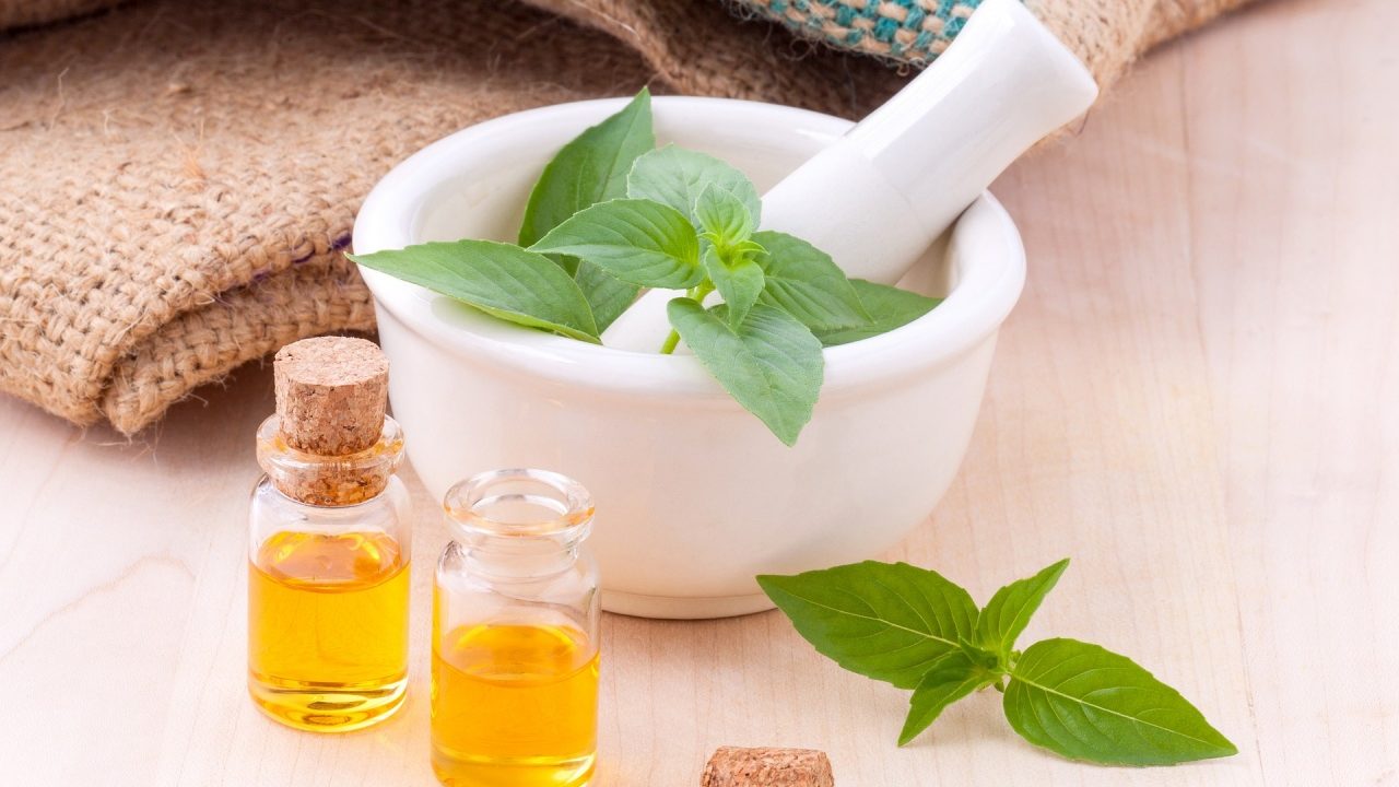 ¿Cómo hacer un repelente natural de mosquitos?