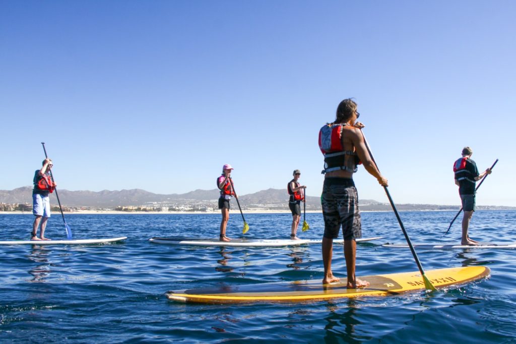 Paddle Board Los Cabos