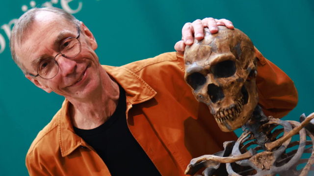 Nobel de Medicina va para sueco Svante Paabo por investigación sobre ADN de neandertales