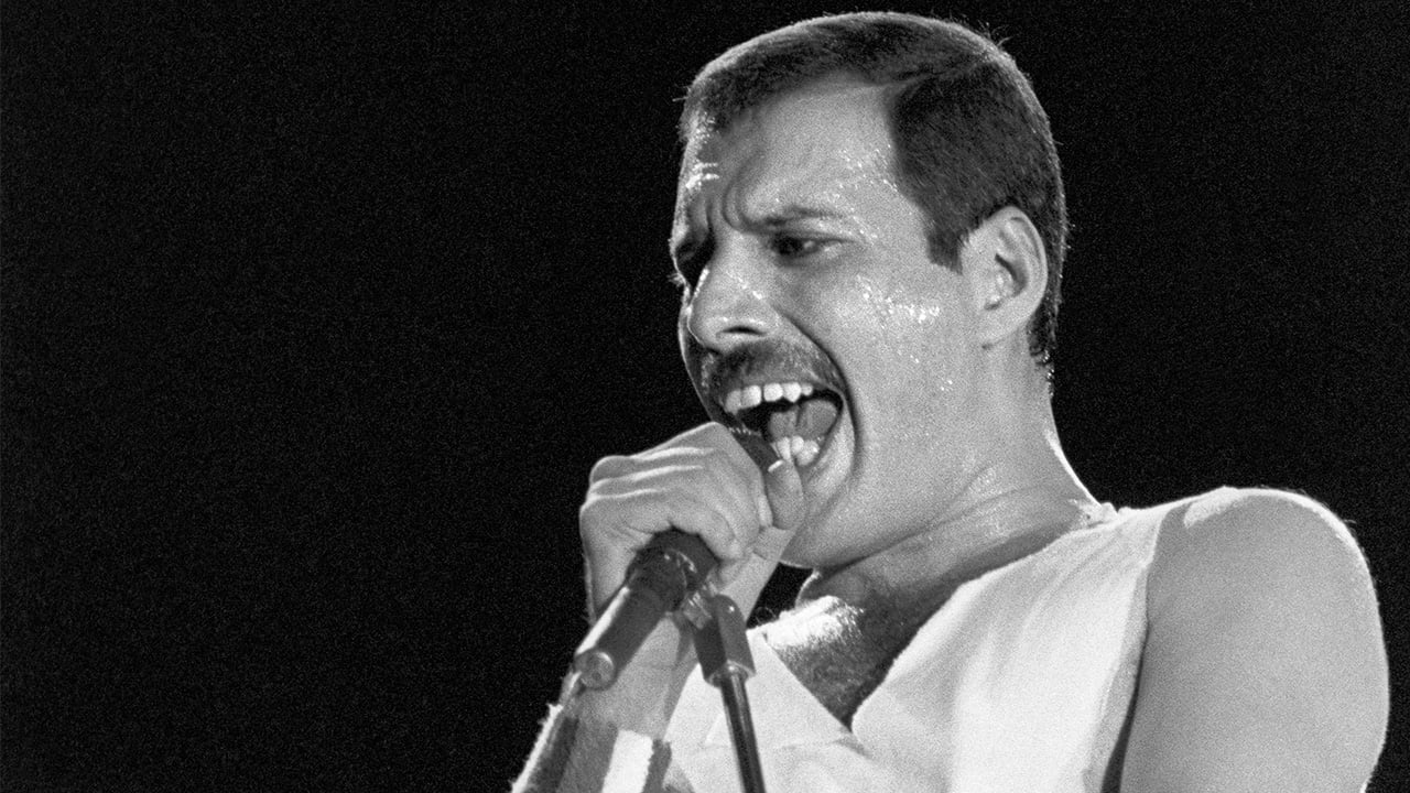 Frases de Freddie Mercury que hablan sobre confianza y seguridad