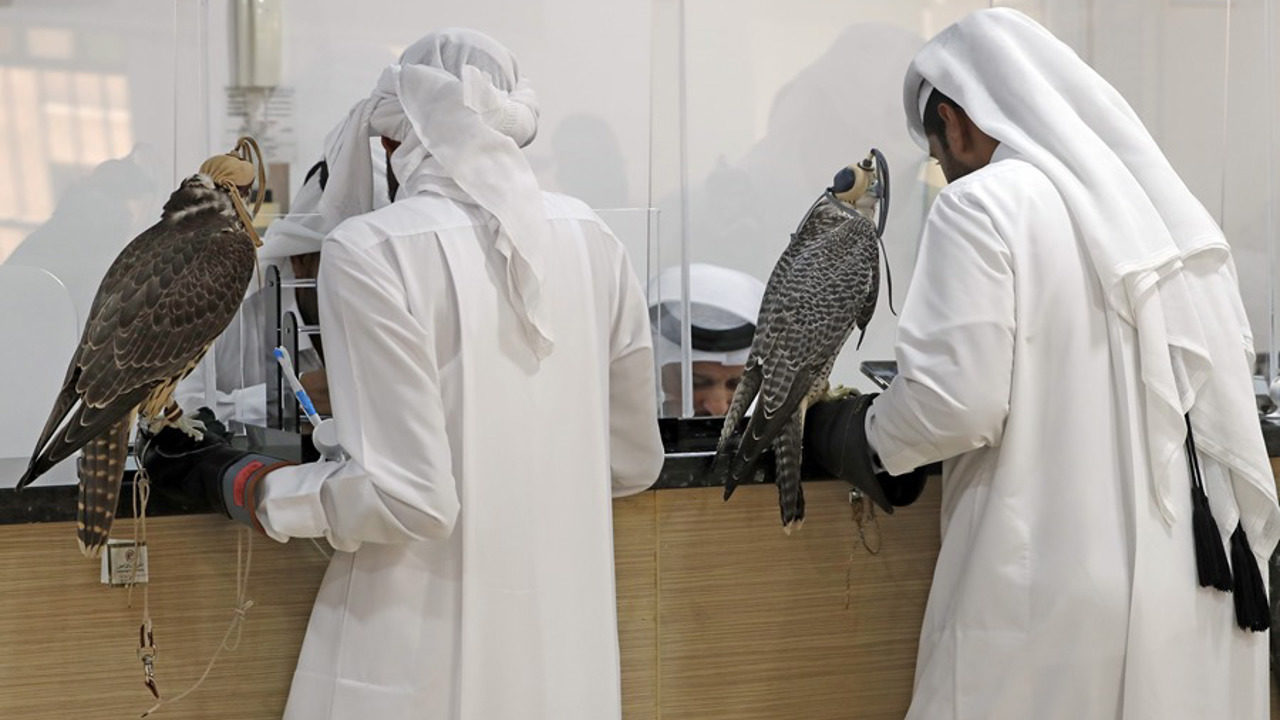 El halcón milenario de Qatar 2022: turismo, lujo y tradición