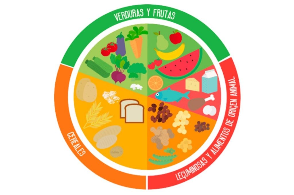 Plato del buen comer: Dietas y nuevas tendencias sobre alimentación