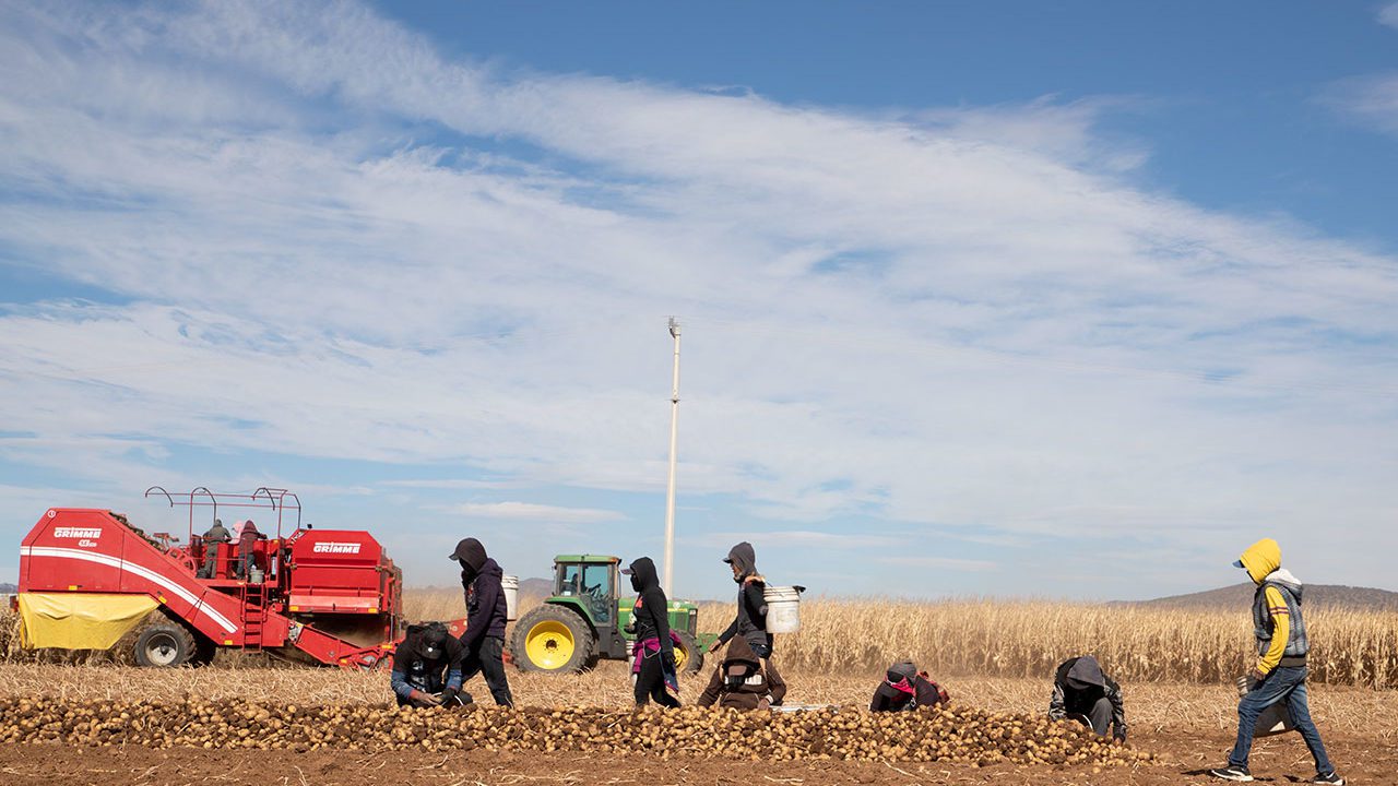 AMLO y el sector agrícola: una grieta que puede transformarse en obstáculo