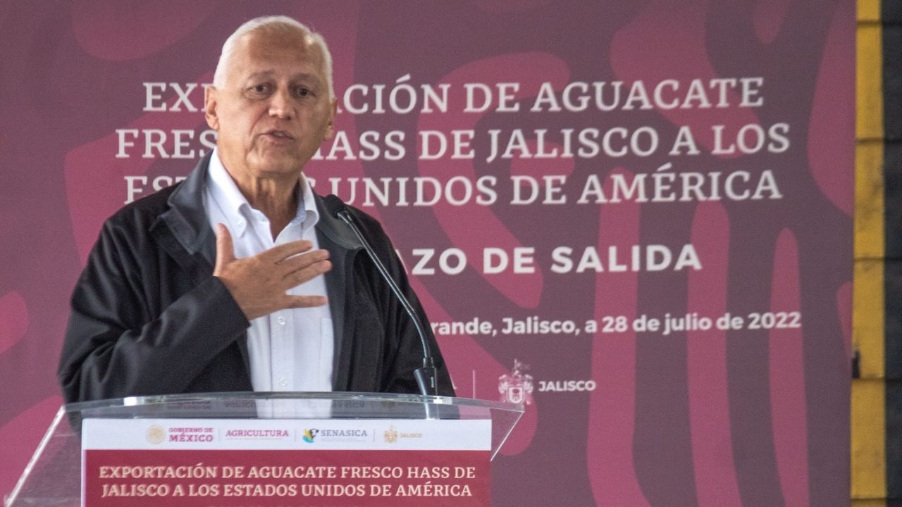 Senasica queda sin director: su titular renuncia tras críticas de AMLO