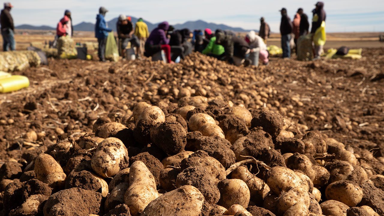 Por el rescate del suelo: la apuesta de Grupo Bimbo por la agricultura regenerativa y la salud