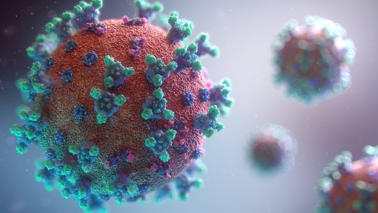 Envoltura lipídica de los virus animales los hace propensos a contagiar a humanos