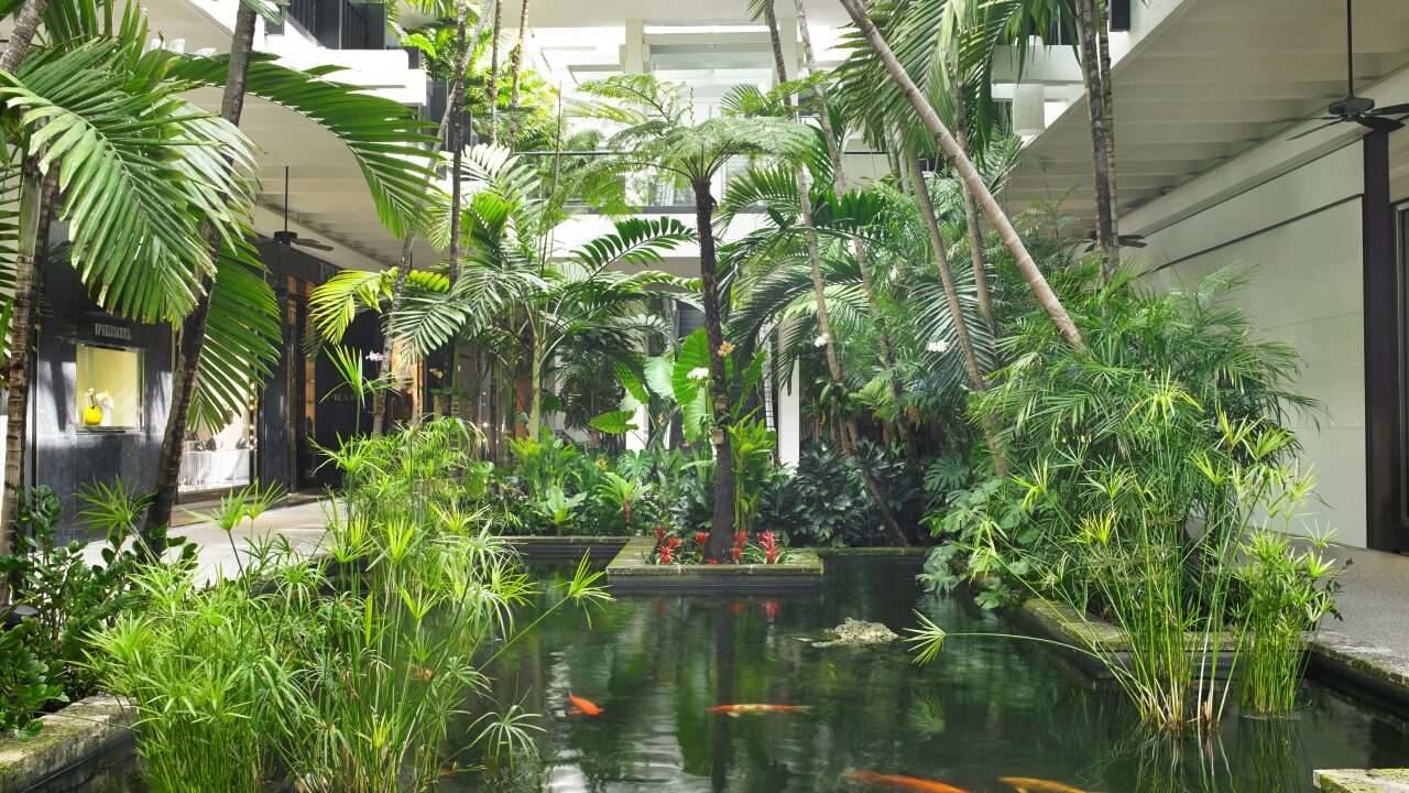 Safari gourmet en Miami