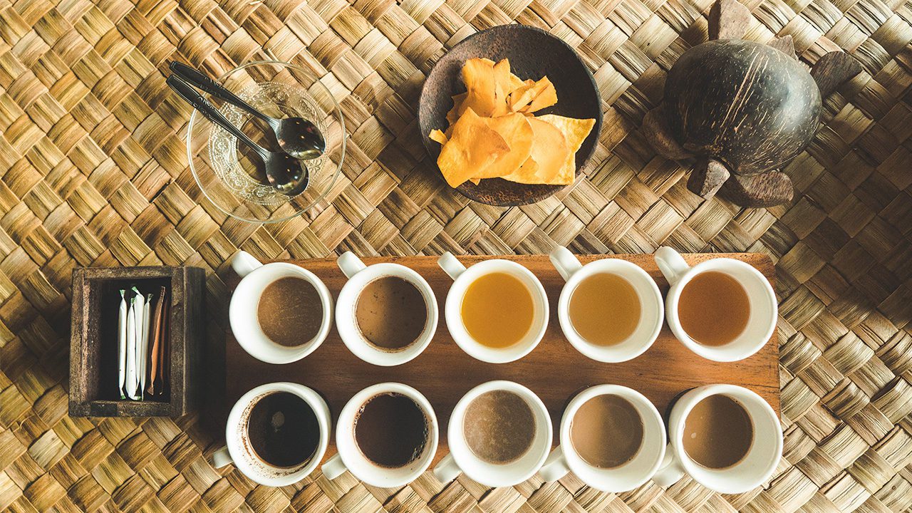 Coatepec: Un destino en donde el Día de Muertos se celebra con aroma a café