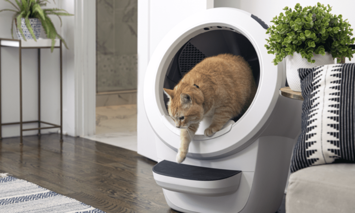 Así es la compañía que utiliza robots para lidiar con las ‘gracias’ de los gatos
