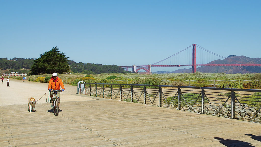 San-Francisco-en-bicicleta
