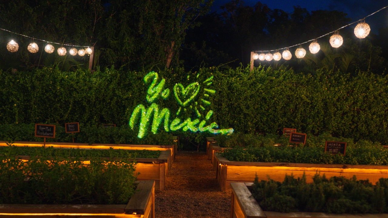 “Yo Amo México”: Gastronomía, mixología y arte en Rosewood Mayakoba