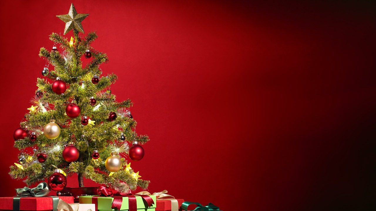 ¿Cuál es el origen del árbol de navidad?