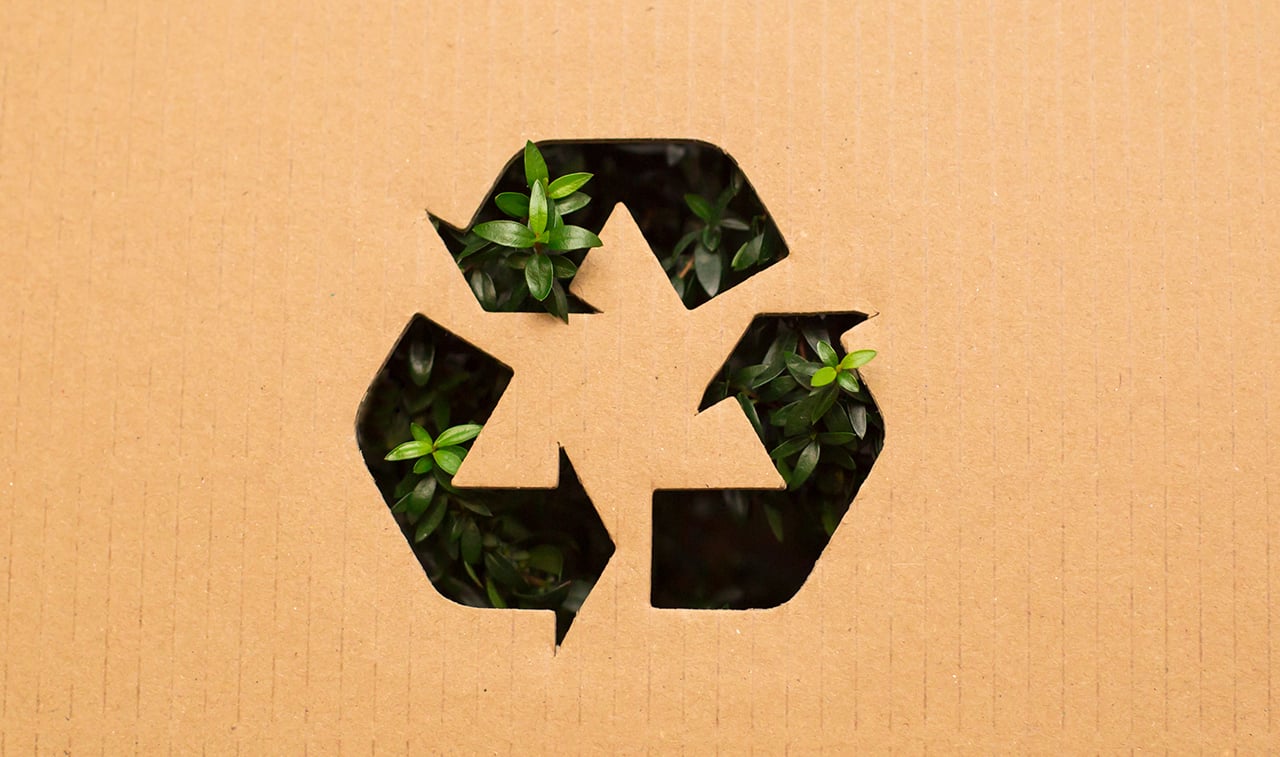 Cultura de reciclaje: compromiso sustentable para la Industria Mexicana de Coca-Cola