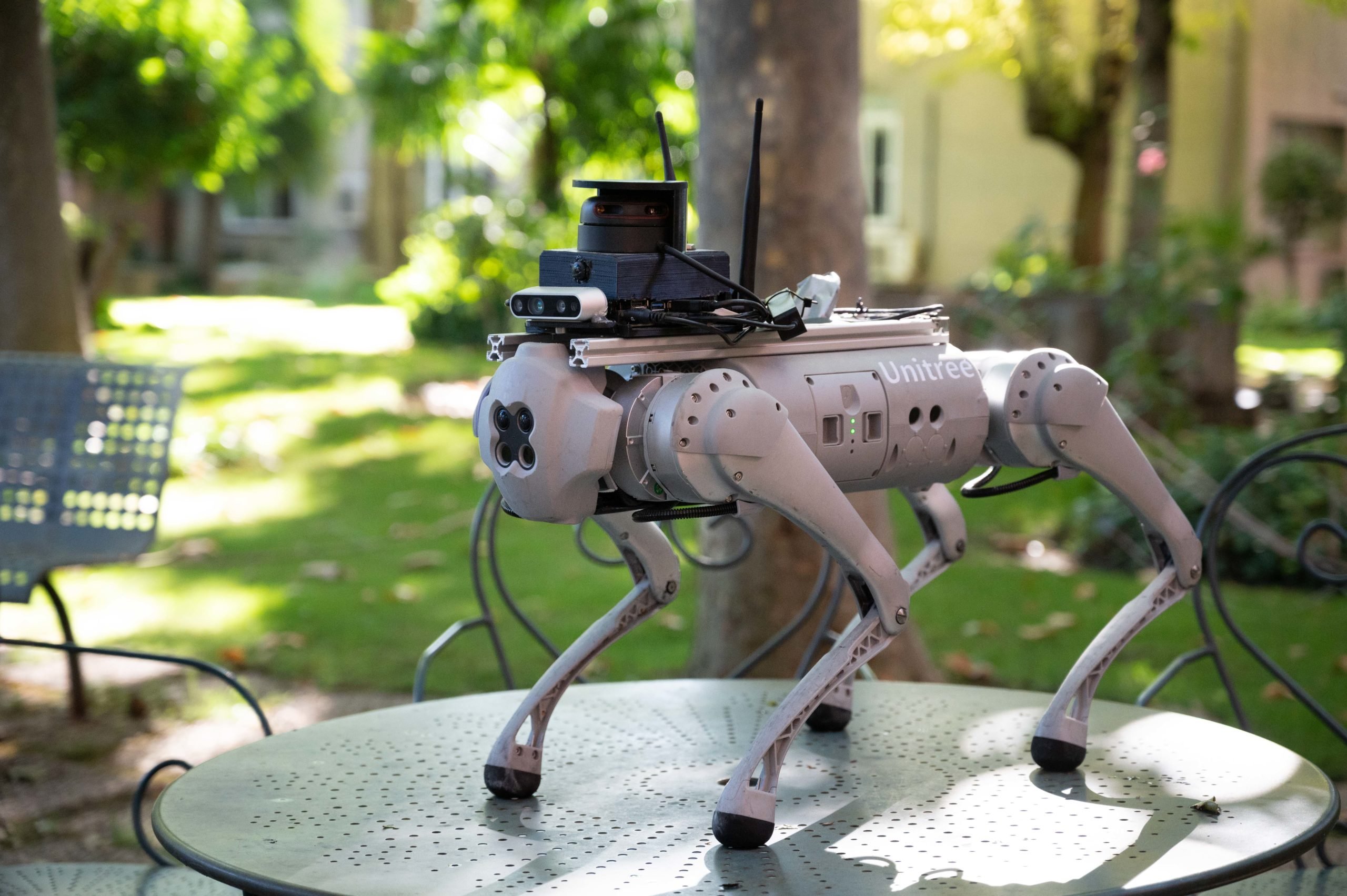 Conoce a este perro robot capaz de guiar a personas con discapacidad