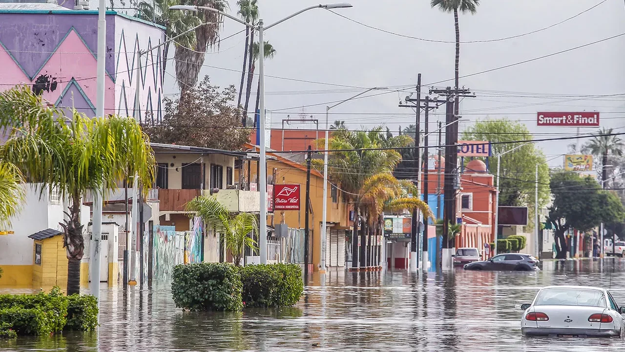 Un estudio determina que la IA será ‘clave’ para mitigar los impactos del cambio climático