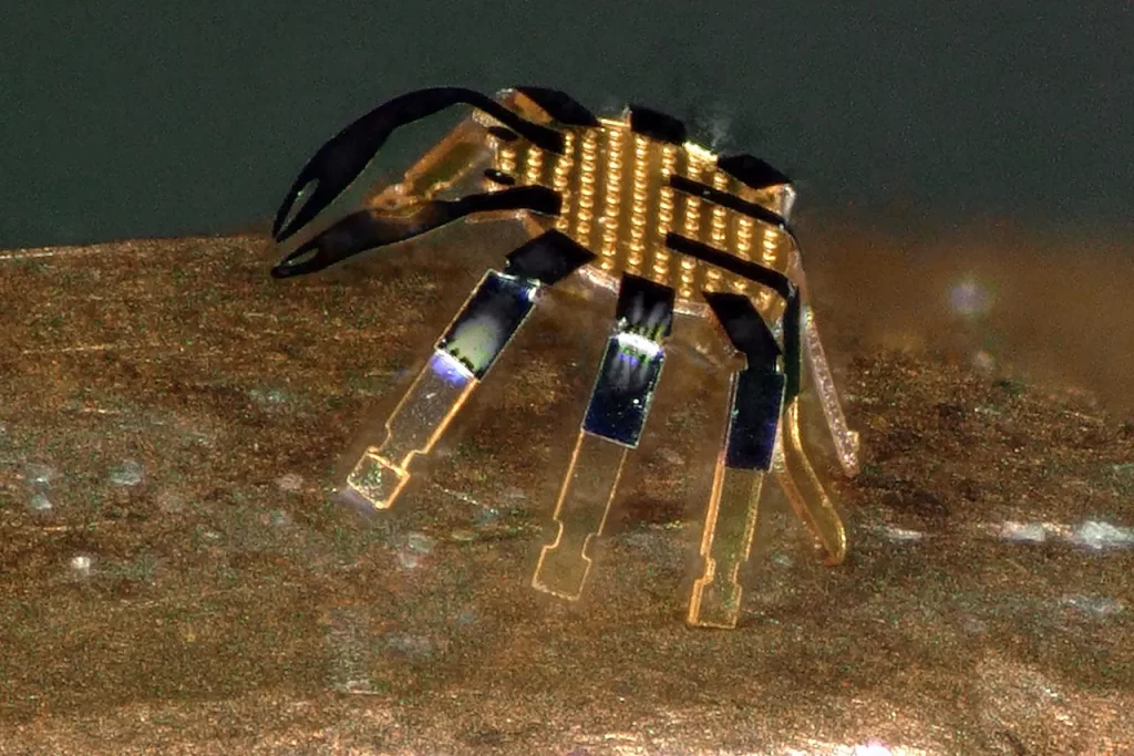 cangrejo robótico