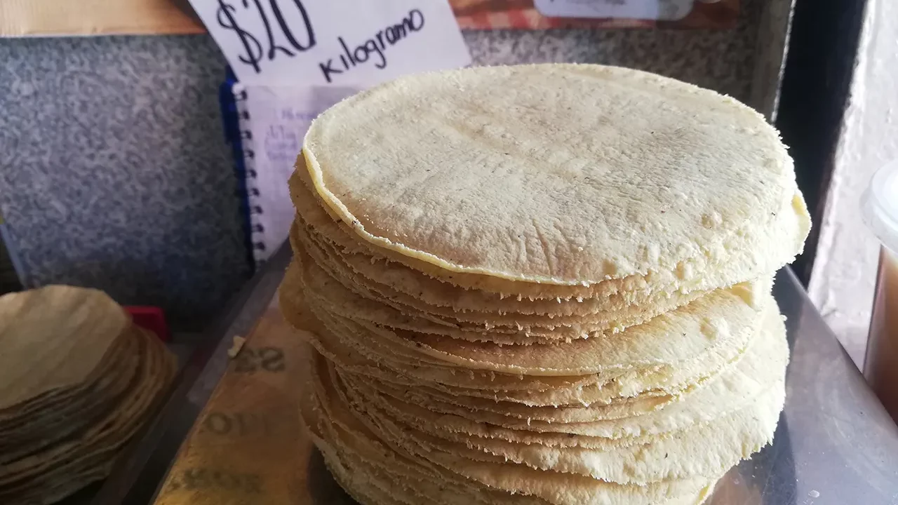 El precio de la tortilla bajará si se termina con la competencia desleal, dice el CNT