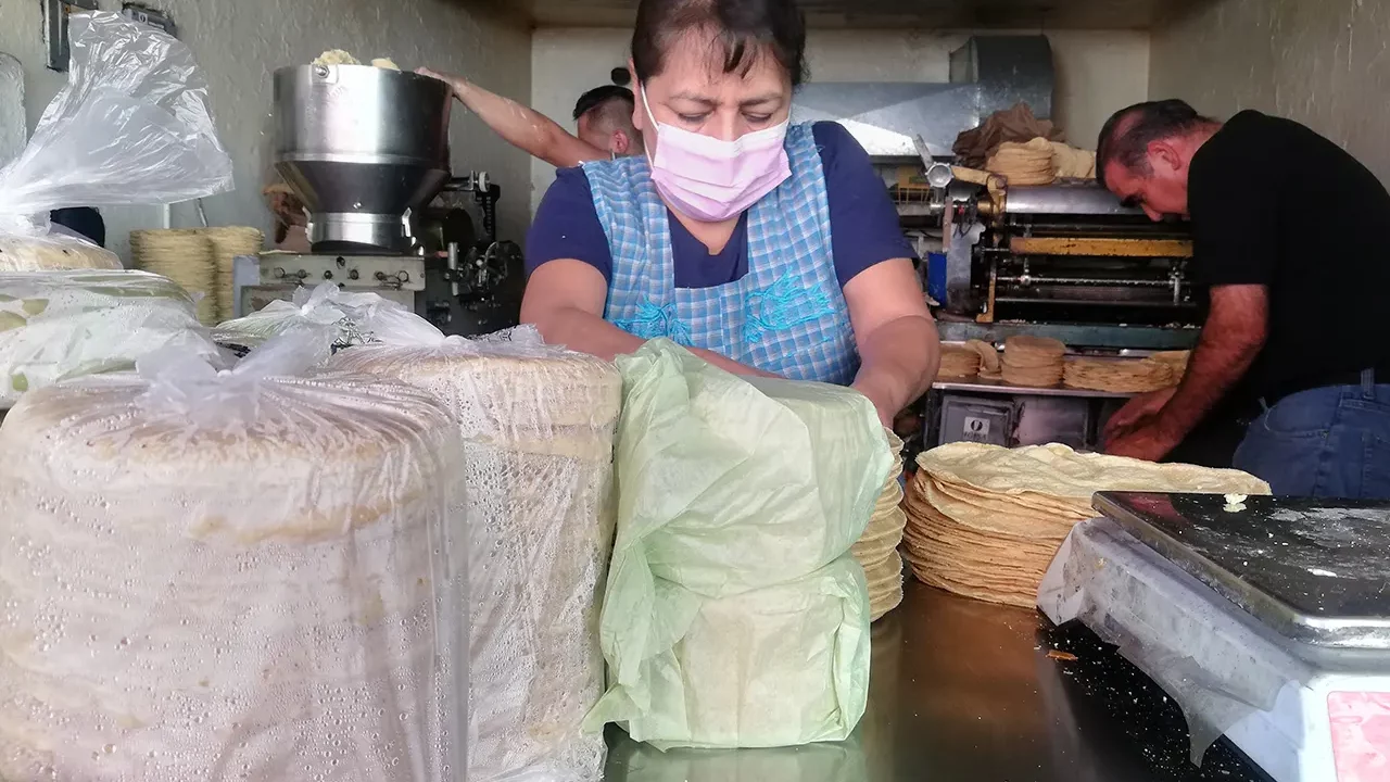 Gobierno promete bajar el precio de la tortilla 10%, así como autosuficiencia en maíz y frijol