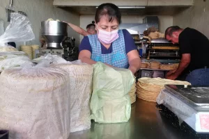 maíz-precio tortilla-producción