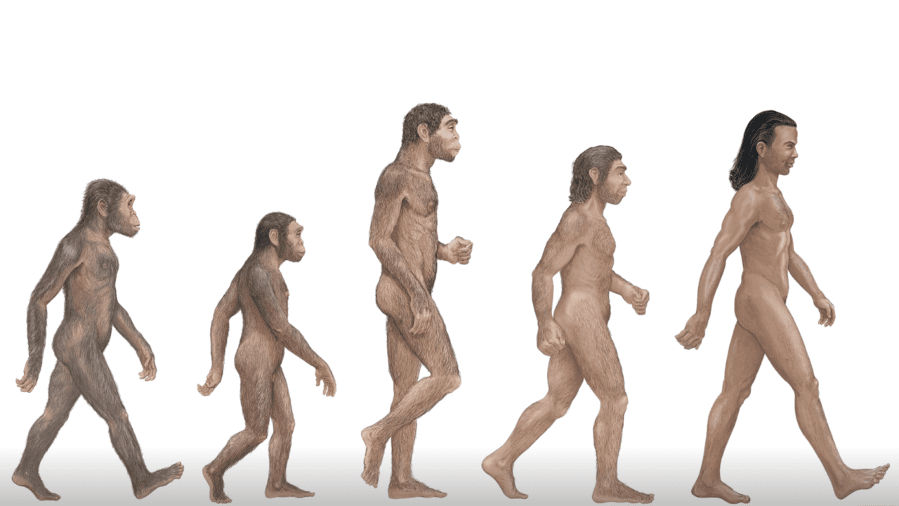 Neandertales crearon las primeras ‘fábricas de grasa’ hace 125,000 años