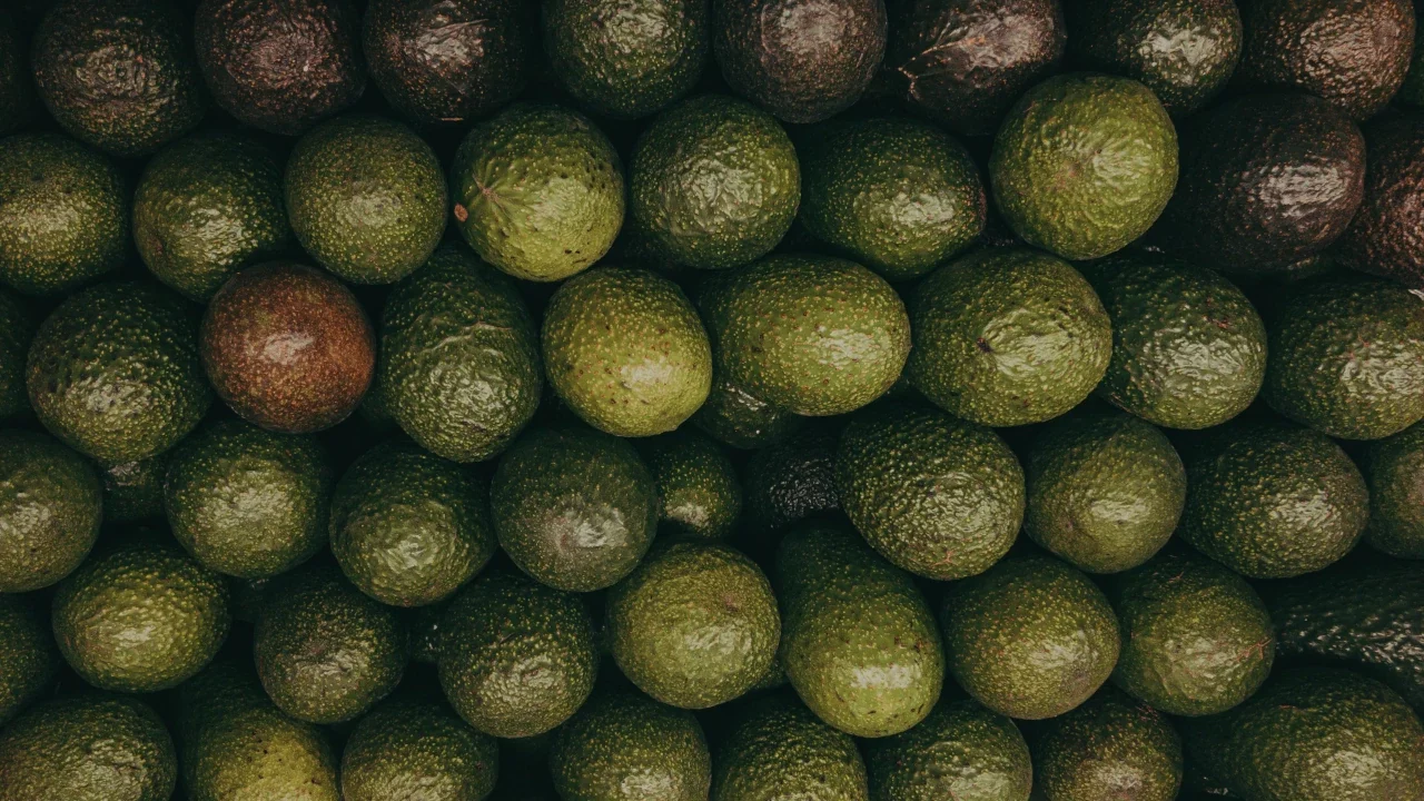Embajador de EU visitará Michoacan para acelerar la normalización de la exportación de aguacate
