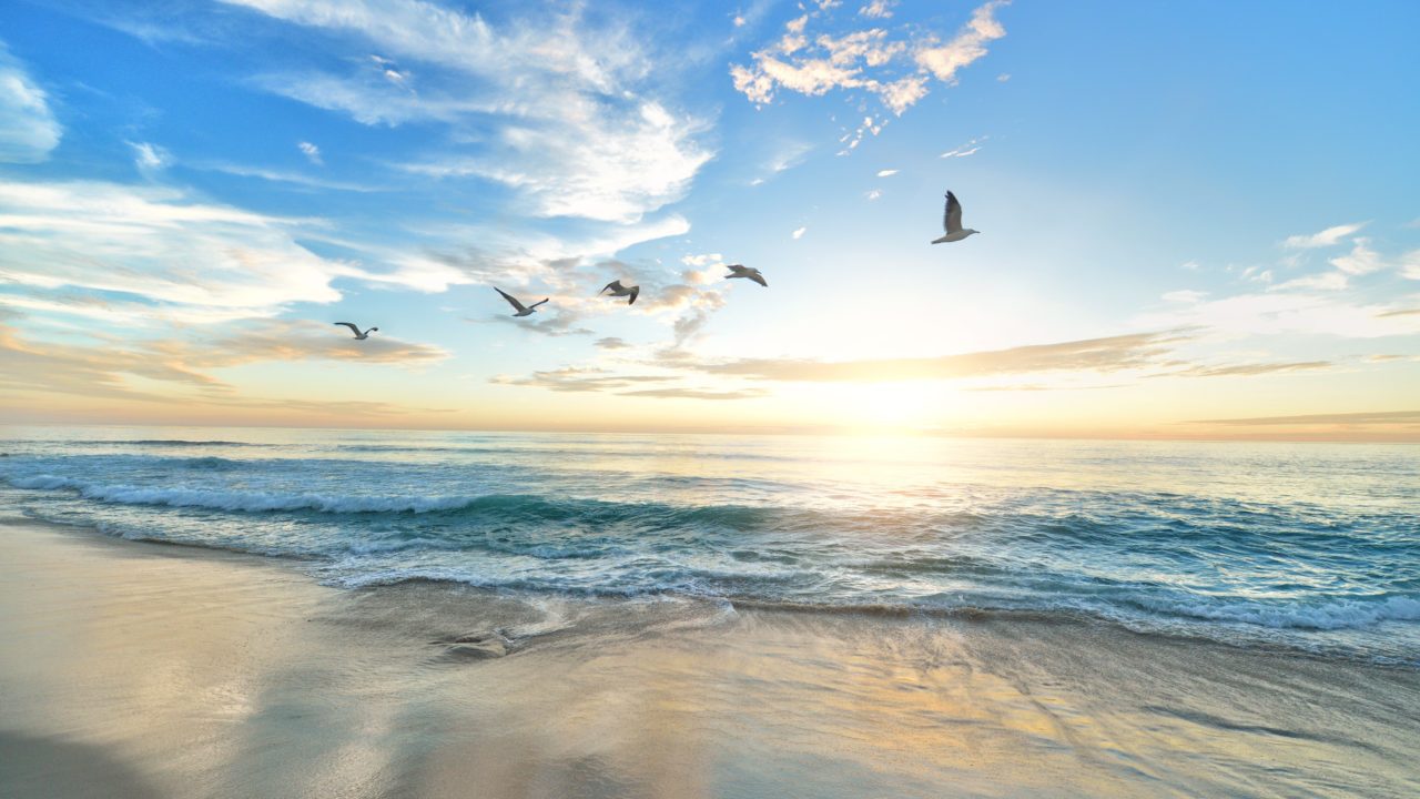 La temperatura global subió 1.15 grados en 2022, cerca de niveles de alarma