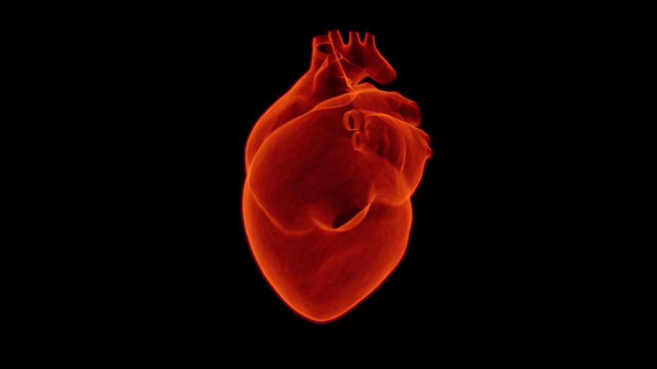 Investigadores encuentran una forma de proteger el corazón durante el tratamiento del cáncer