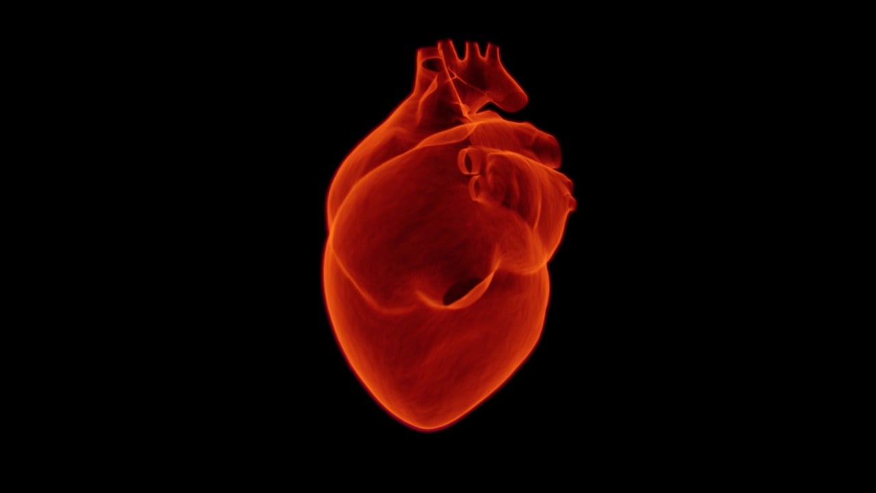 Modelo de corazón revela cómo misma cardiopatía heredada afecta diferente a dos hermanos