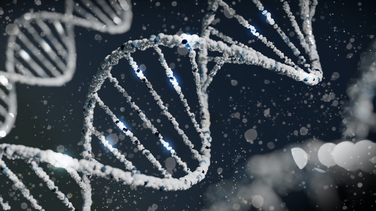 La genética recorre miles de años en busca del elusivo origen de la ‘peste’