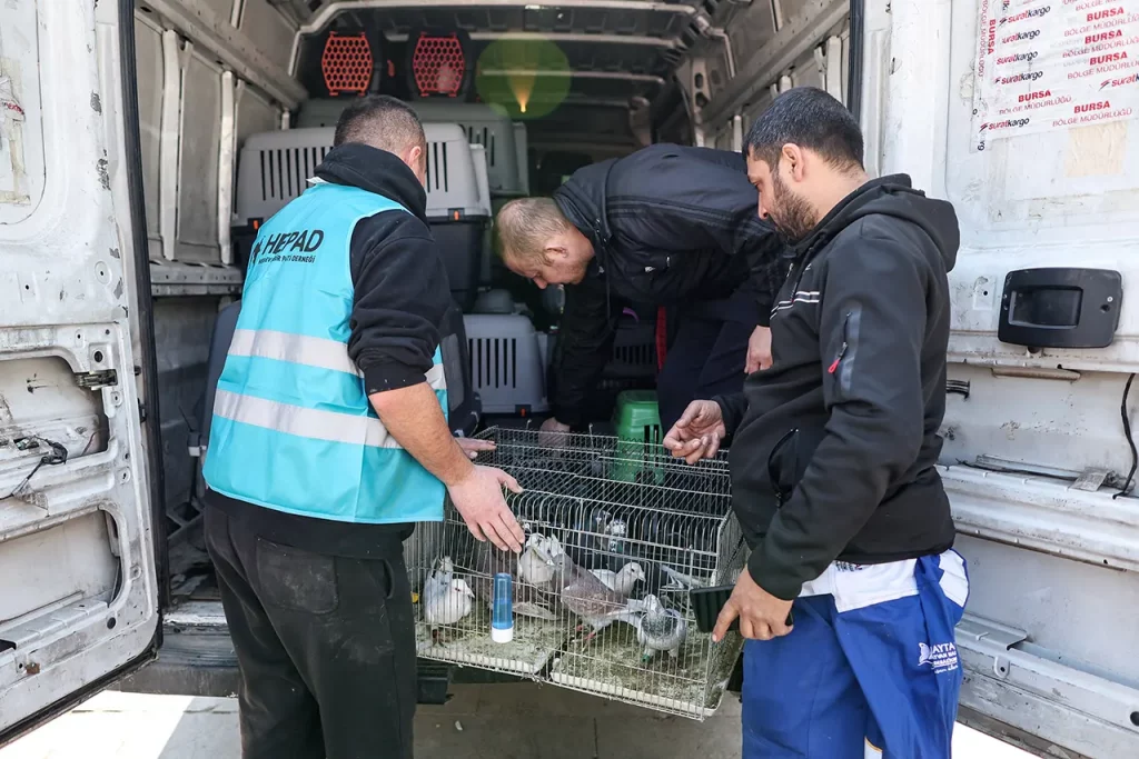 Animales rescatados Turquía